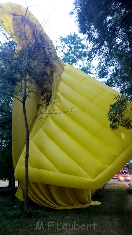 Heissluftballon im Baum Koeln Lindenthal Decksteiner Weiher P02.jpg